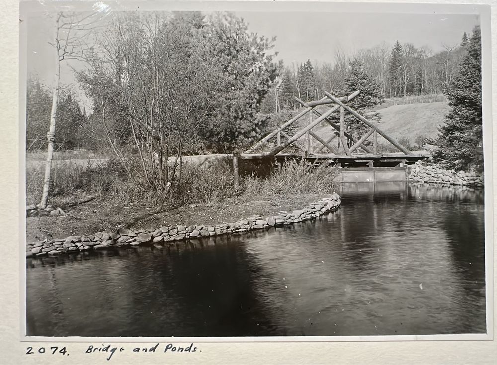 Black-and-white photograph of a rustic log bridge over a stone-lined pond