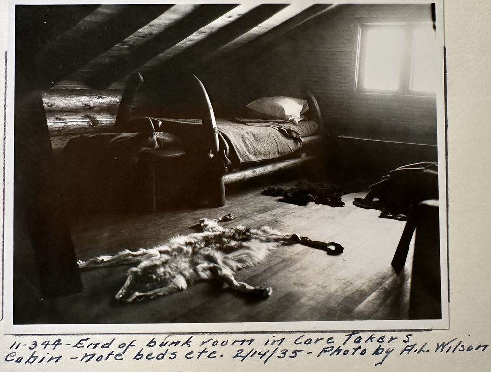 A log bed with a fur rug in the loft bunk room