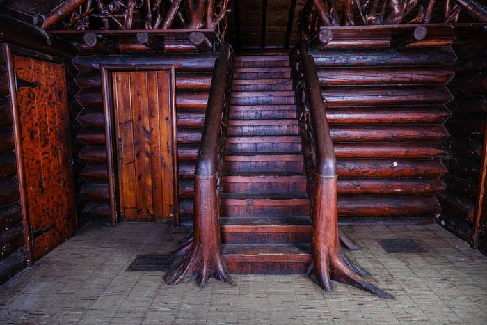 The root-work staircase with cedar-stump newel posts, seen from the main room