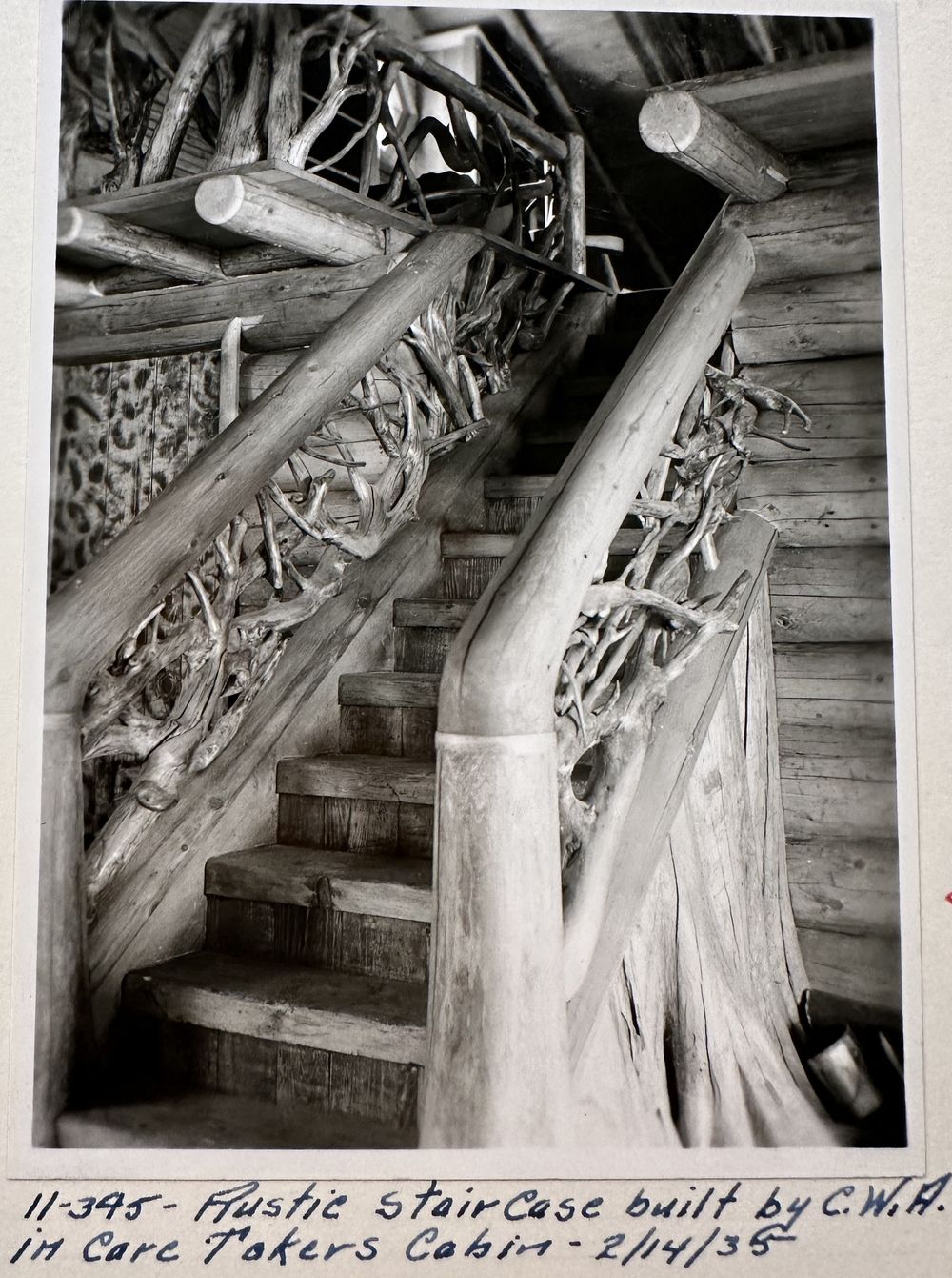 A staircase with railings made of mitered tree roots