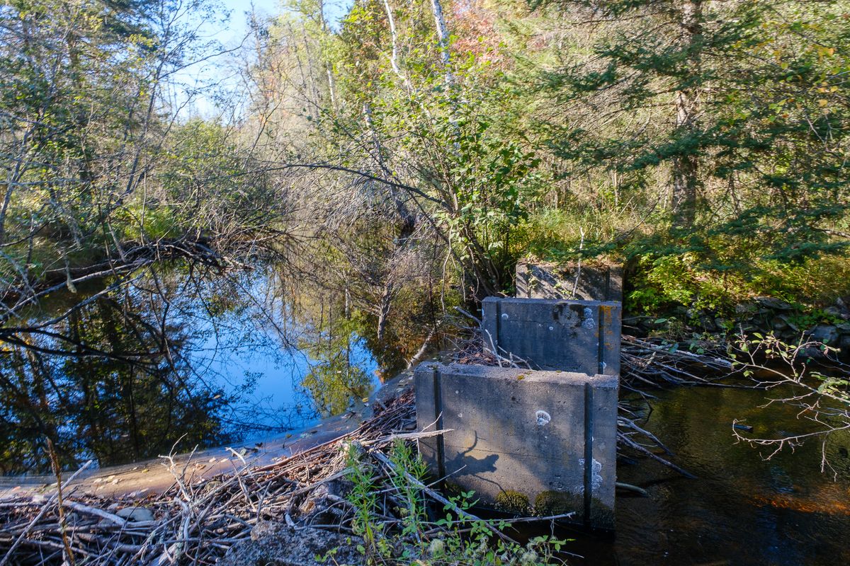 Concrete check structures standing in Cooks Run with fall color reflected in the water